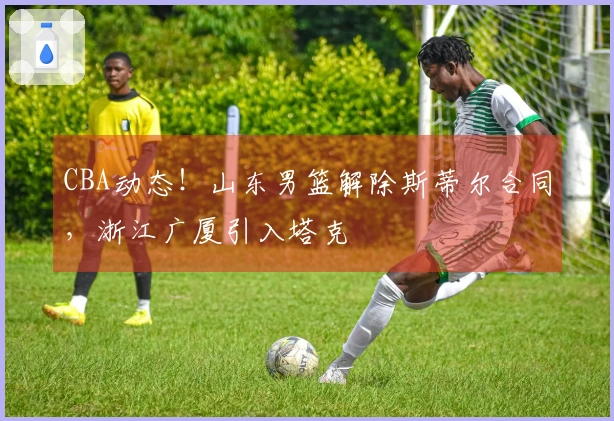 CBA动态！山东男篮解除斯蒂尔合同，浙江广厦引入塔克