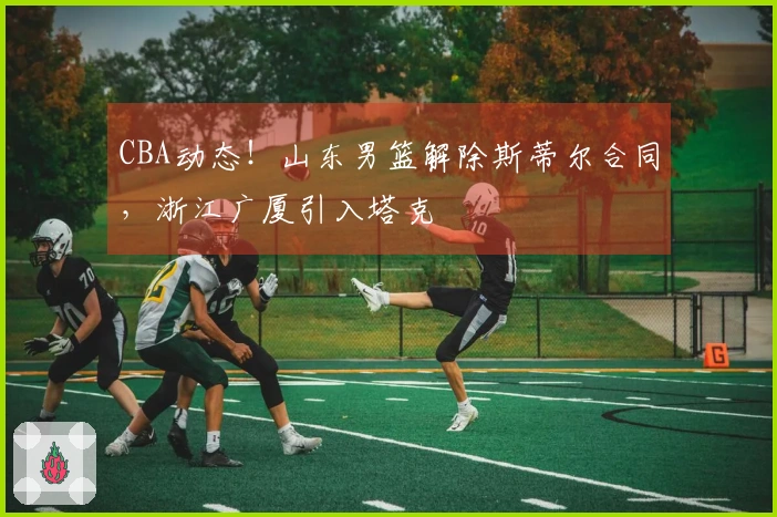 CBA动态！山东男篮解除斯蒂尔合同，浙江广厦引入塔克